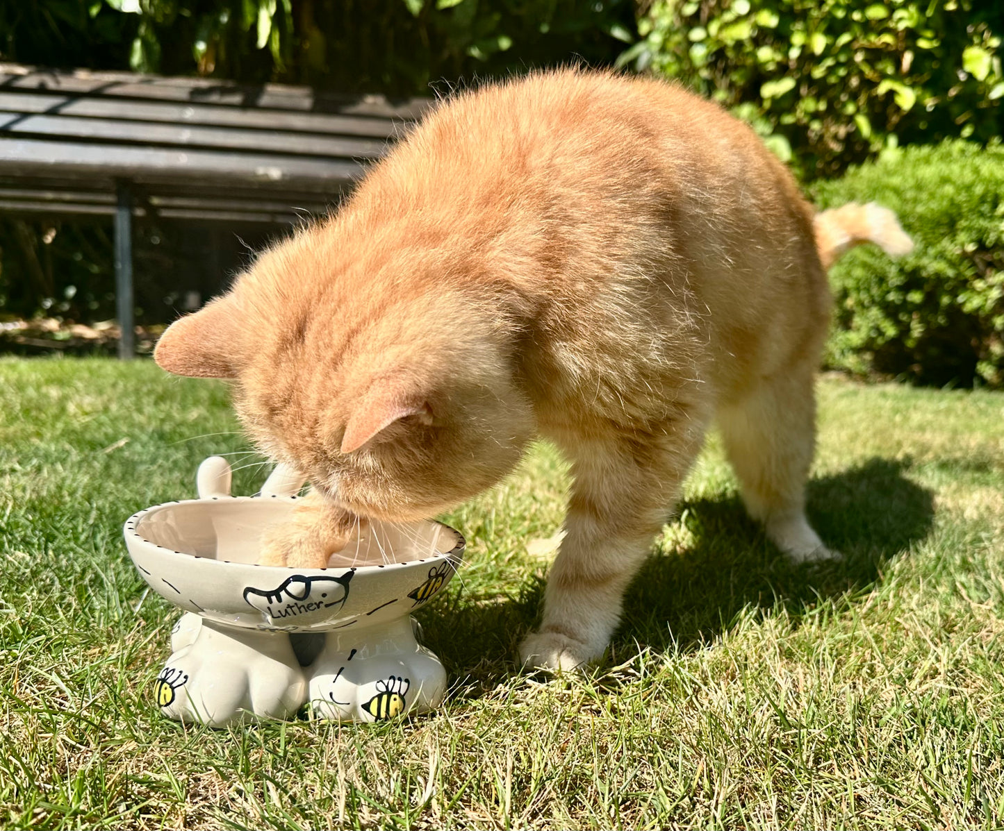 Personalised Cat Leg Bowl Bee Design