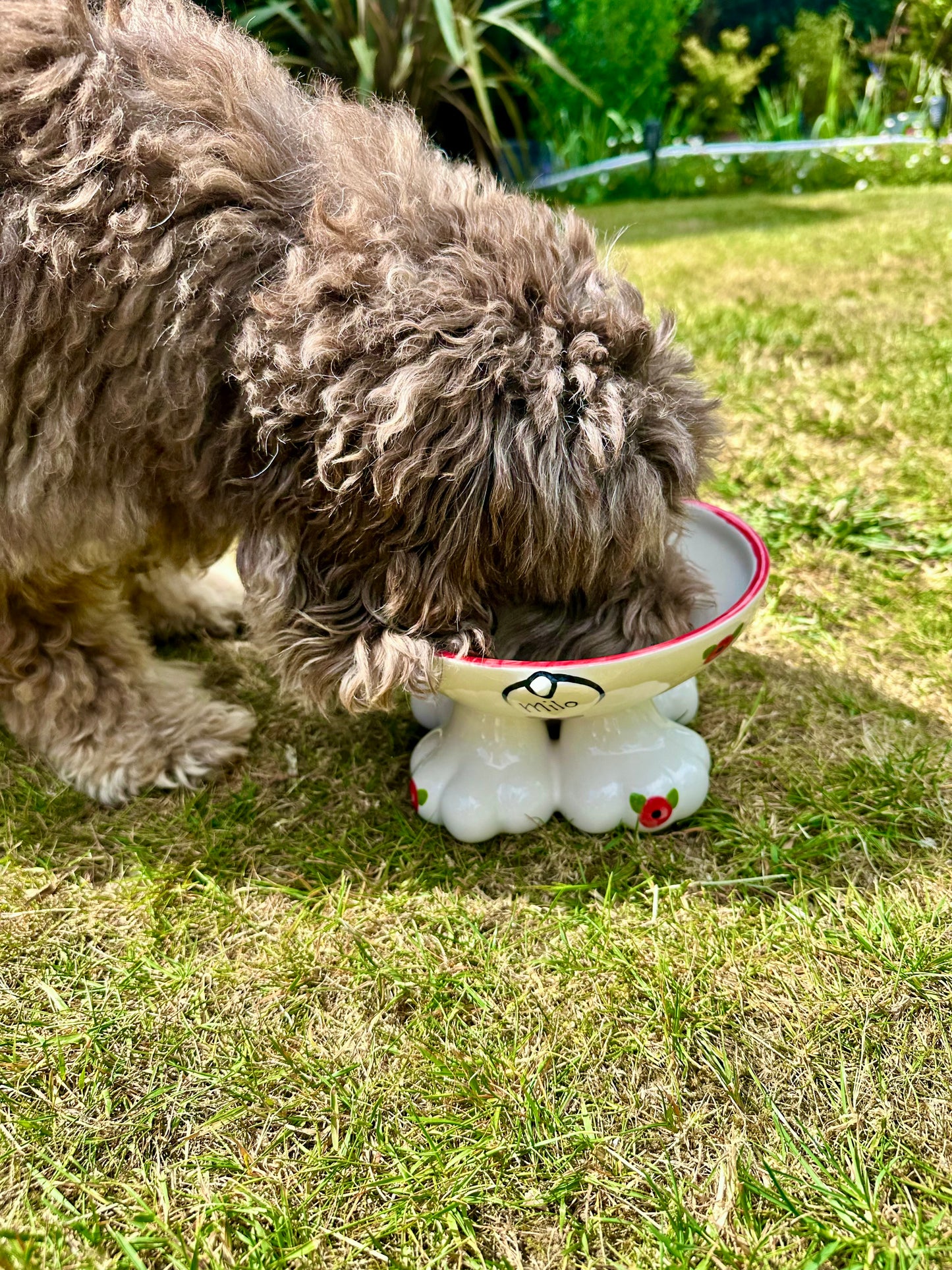 Personalised Dog Leg Bowl Poppy Design