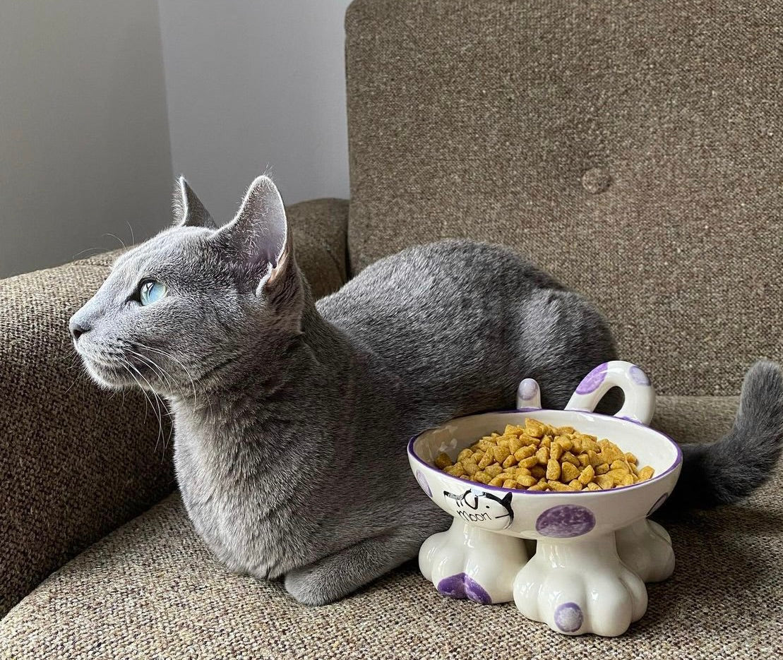 Personalised Cat Leg Bowl Spotty Design