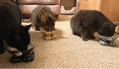 Personalised Cat Leg Bowl Likeness Design