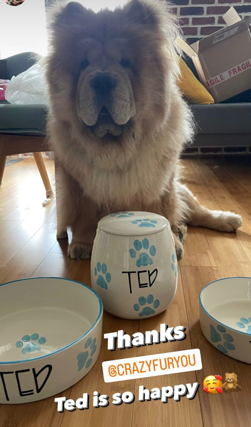 Personalised Straight sided Paw Print design Treat Jar set