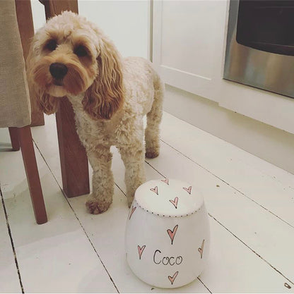 Personalised Treat Jar Whimsical Design