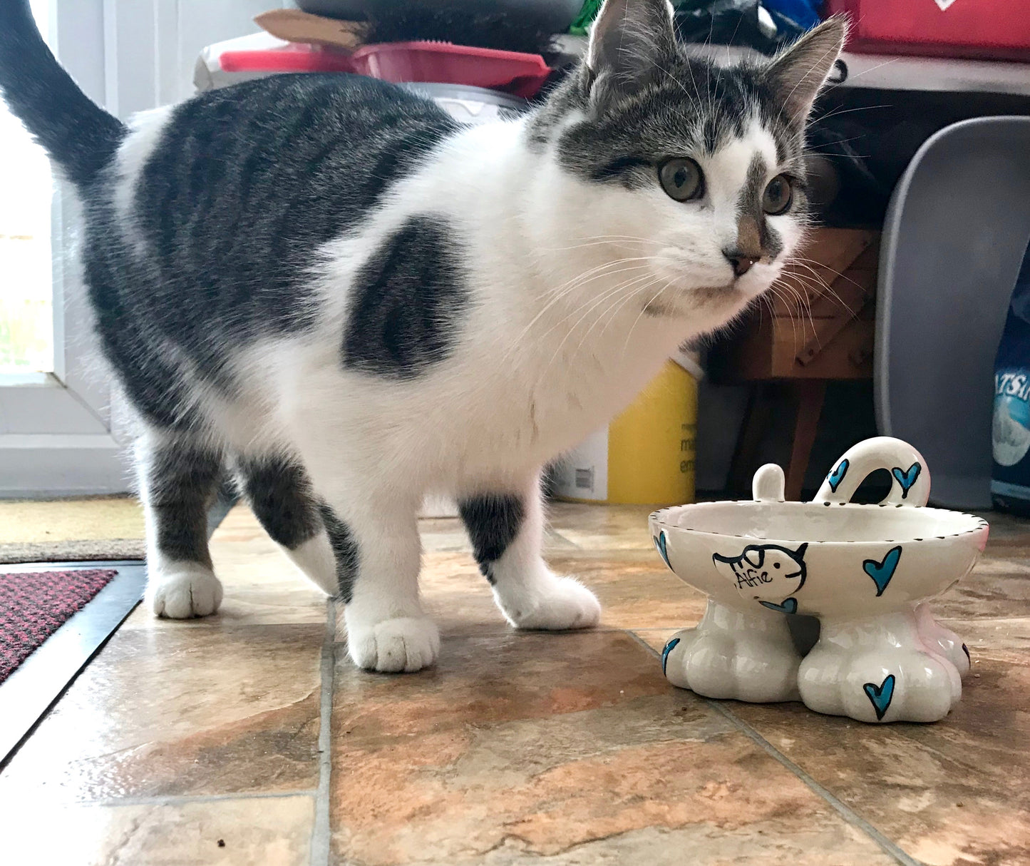 Personalised Cat Leg Bowl Whimsical Design
