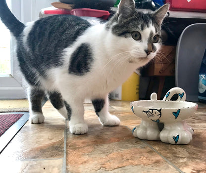 Personalised Cat Leg Bowl Whimsical Design