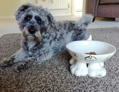 Personalised Dog Leg Bowl Whimsical Design