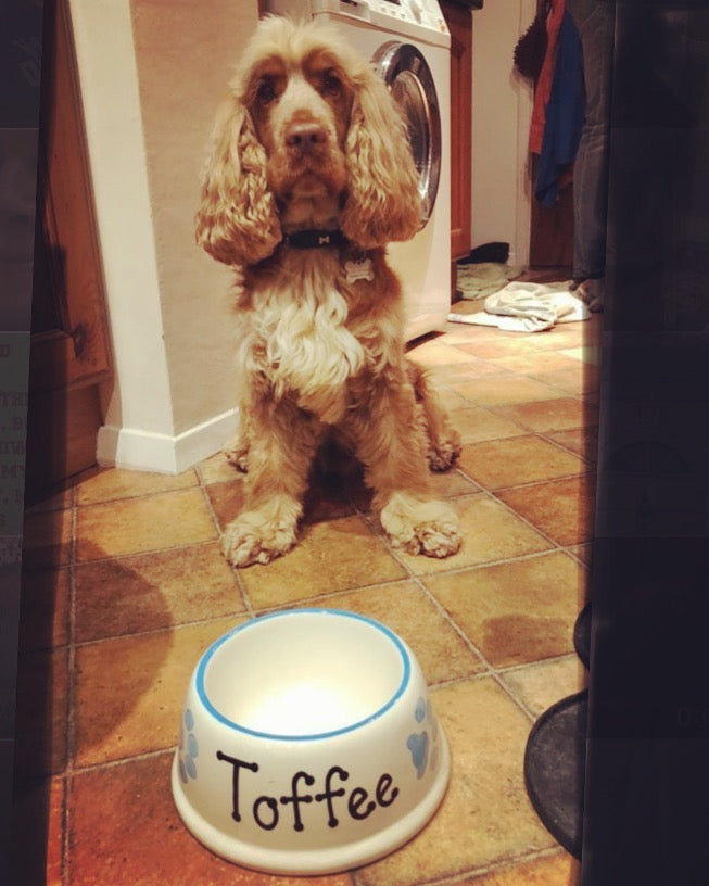 Personalised Slanted Paw Print Bowl