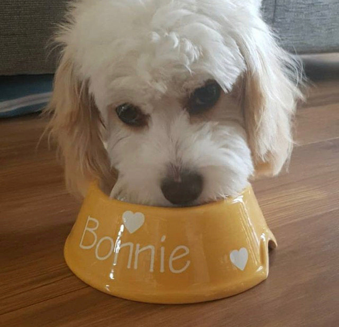 Personalised Slanted Polka Bowl