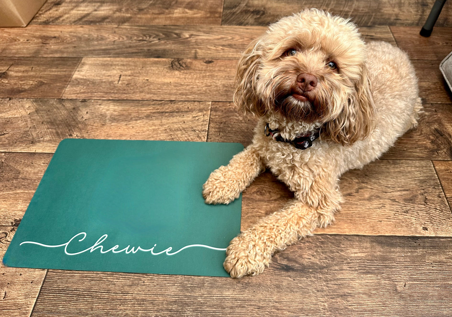 Personalised Pet Bowl Mat Flat Colour Design
