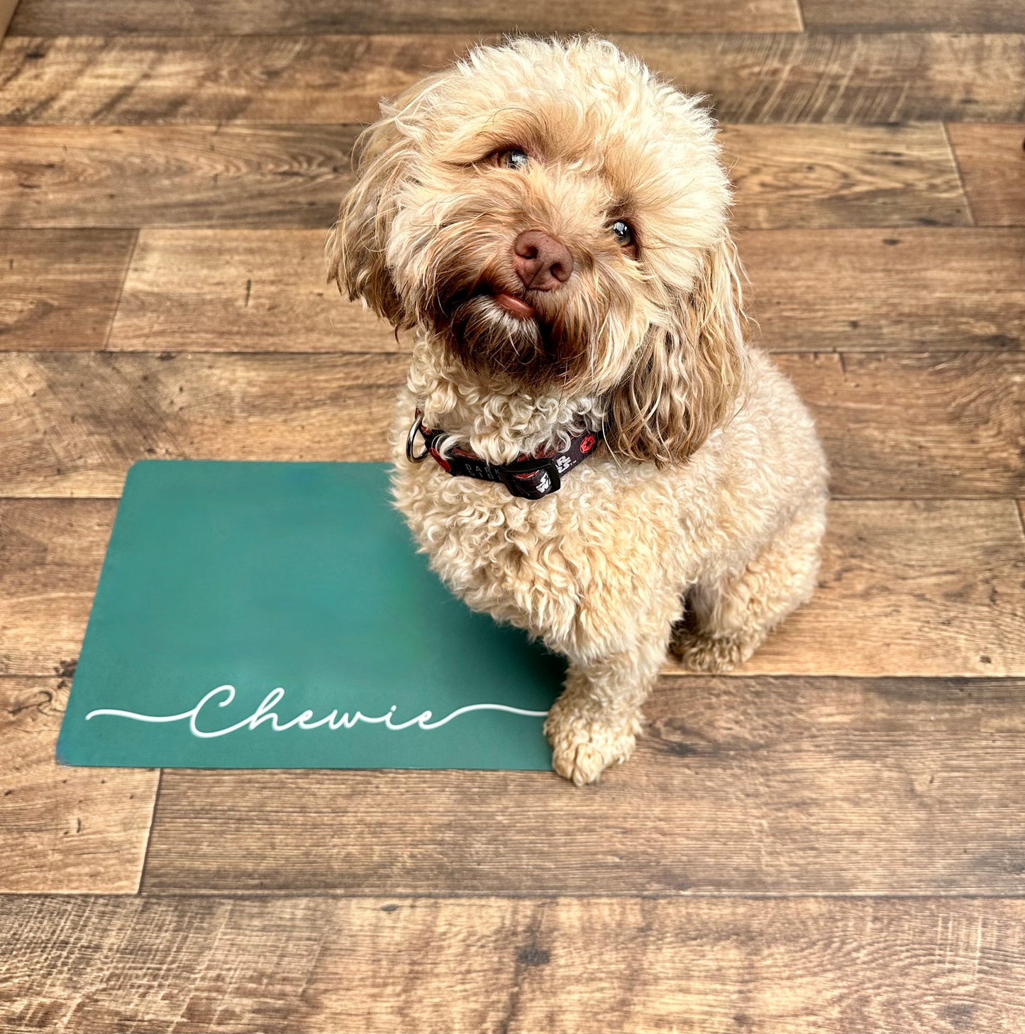 Personalised Pet Bowl Mat Flat Colour Design