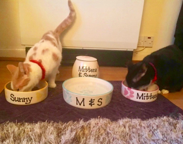 Personalised Straight sided Paw Print design Treat Jar set