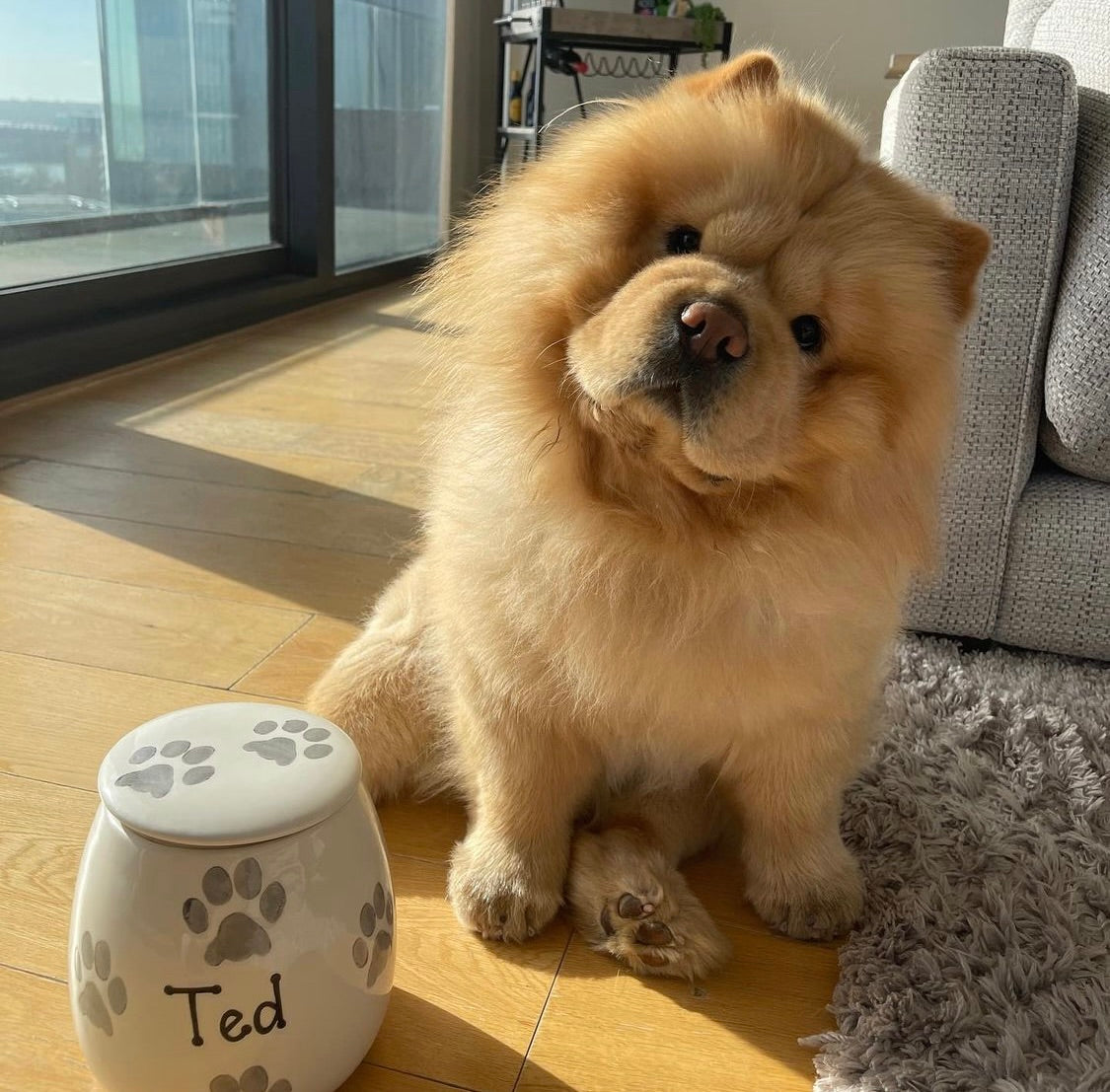 Personalised Treat Jar Paw Print Design