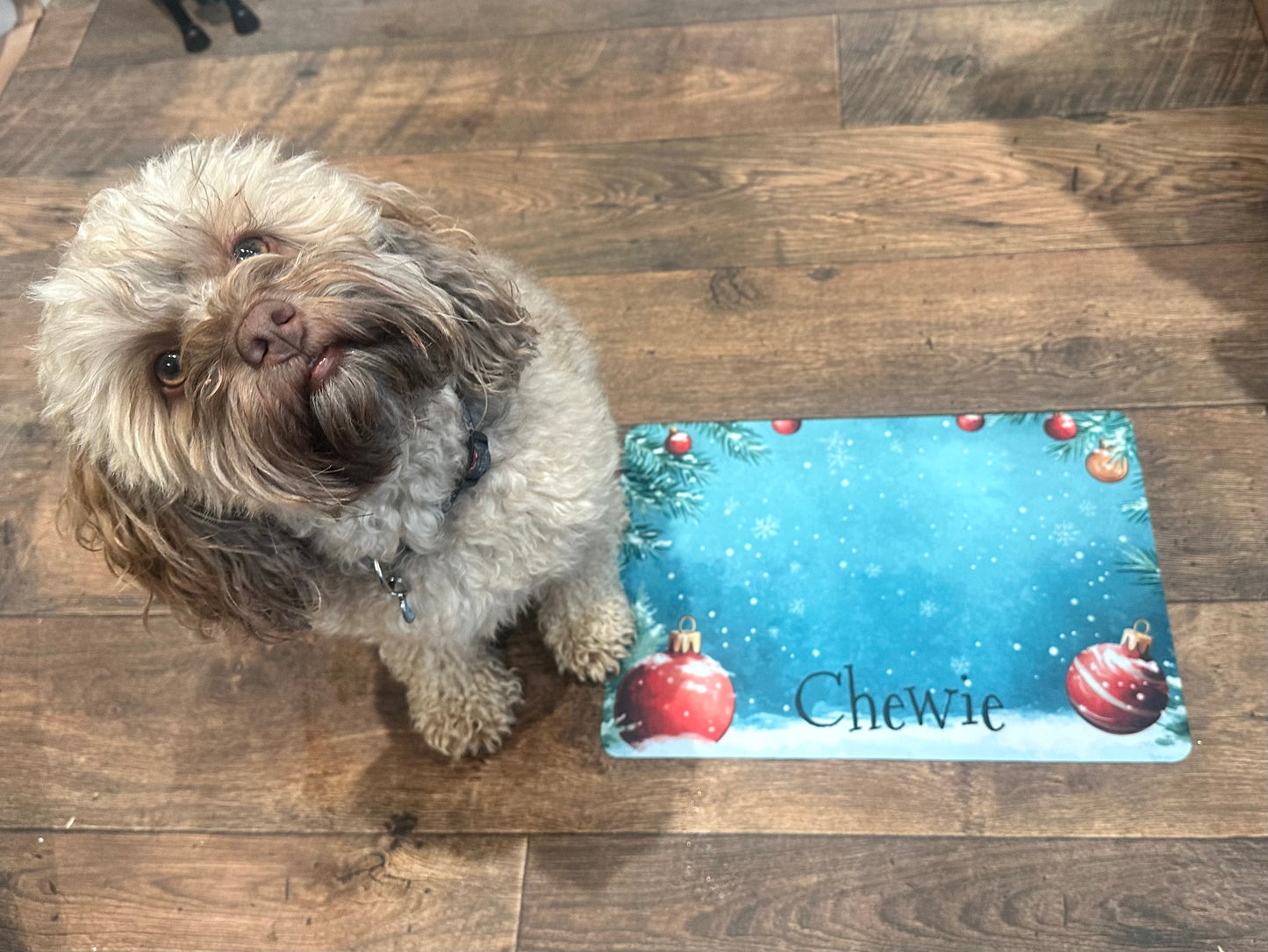 Personalised Pet Bowl Mat Christmas Winter Scene 2 Design