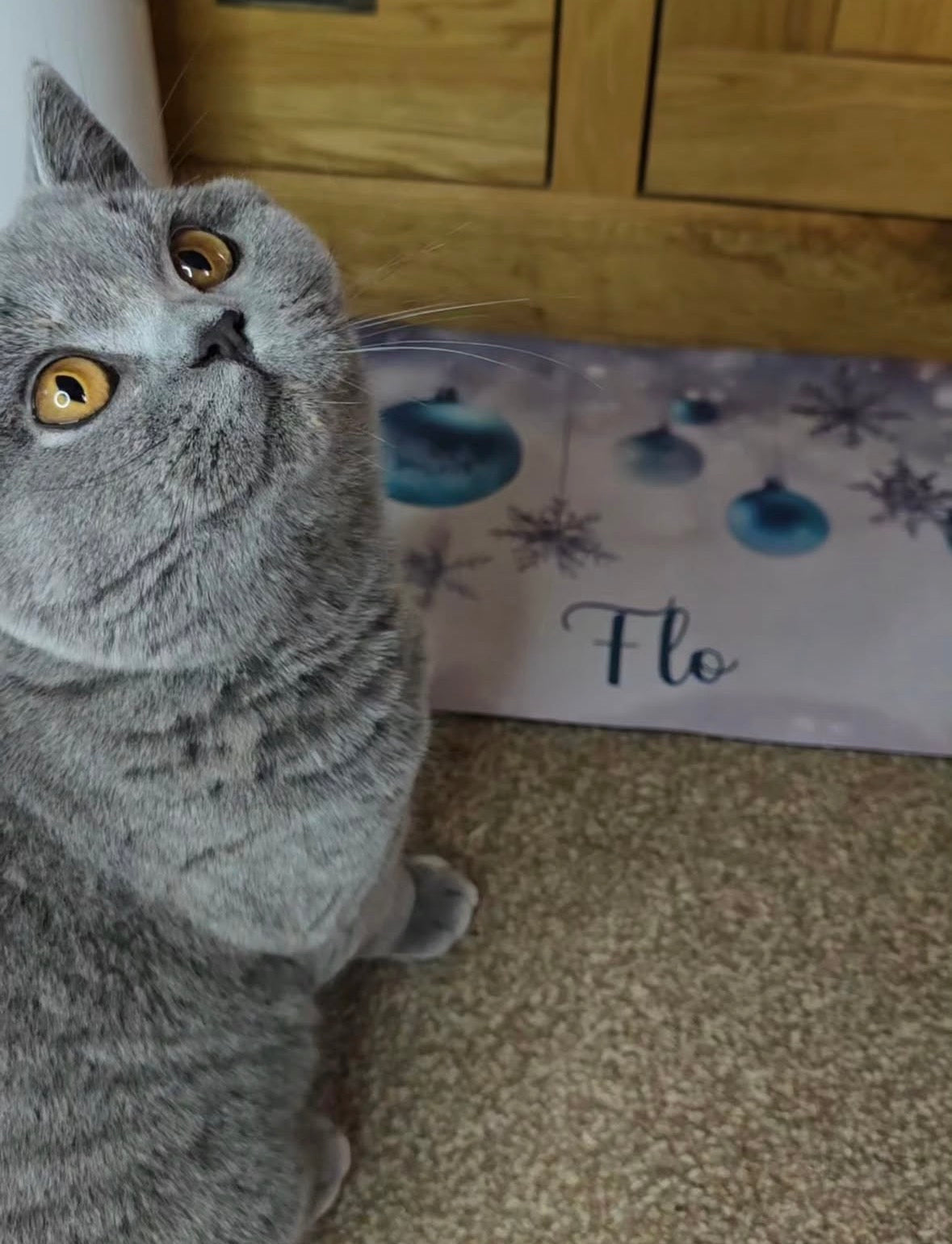 Personalised Pet Bowl Mat Christmas Hanging Bauble Design