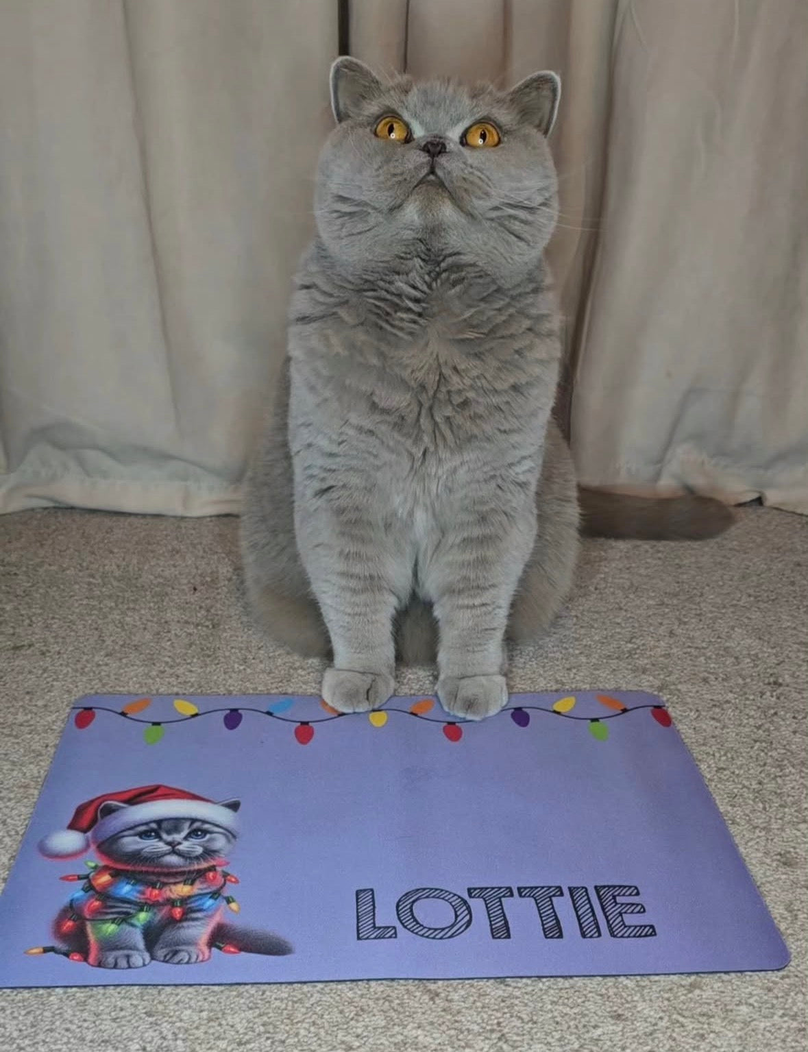 Personalised Christmas Bowl Mat Cat Breed Design