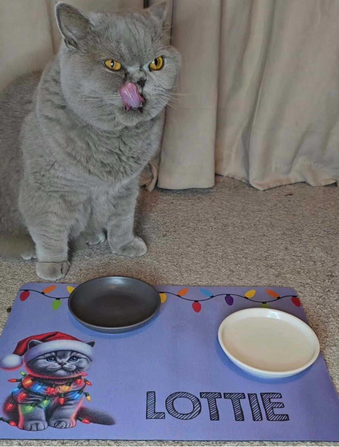 Personalised Christmas Bowl Mat Cat Breed Design