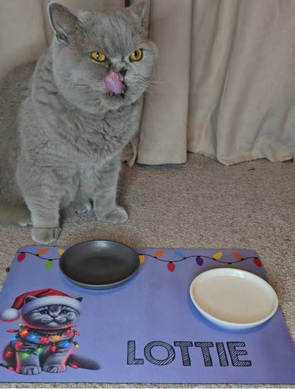 Personalised Christmas Bowl Mat Cat Breed Design