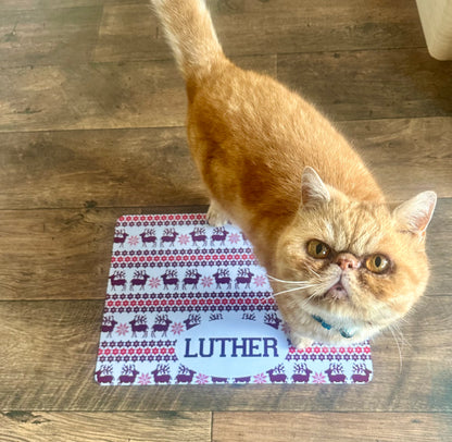 Personalised Pet Bowl Mat Christmas Jumper Design