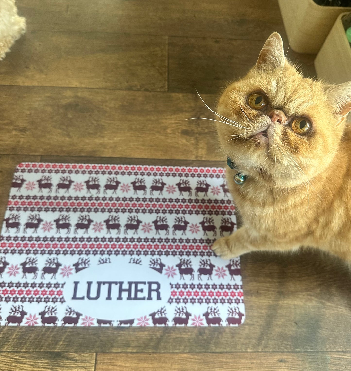Personalised Pet Bowl Mat Christmas Jumper Design
