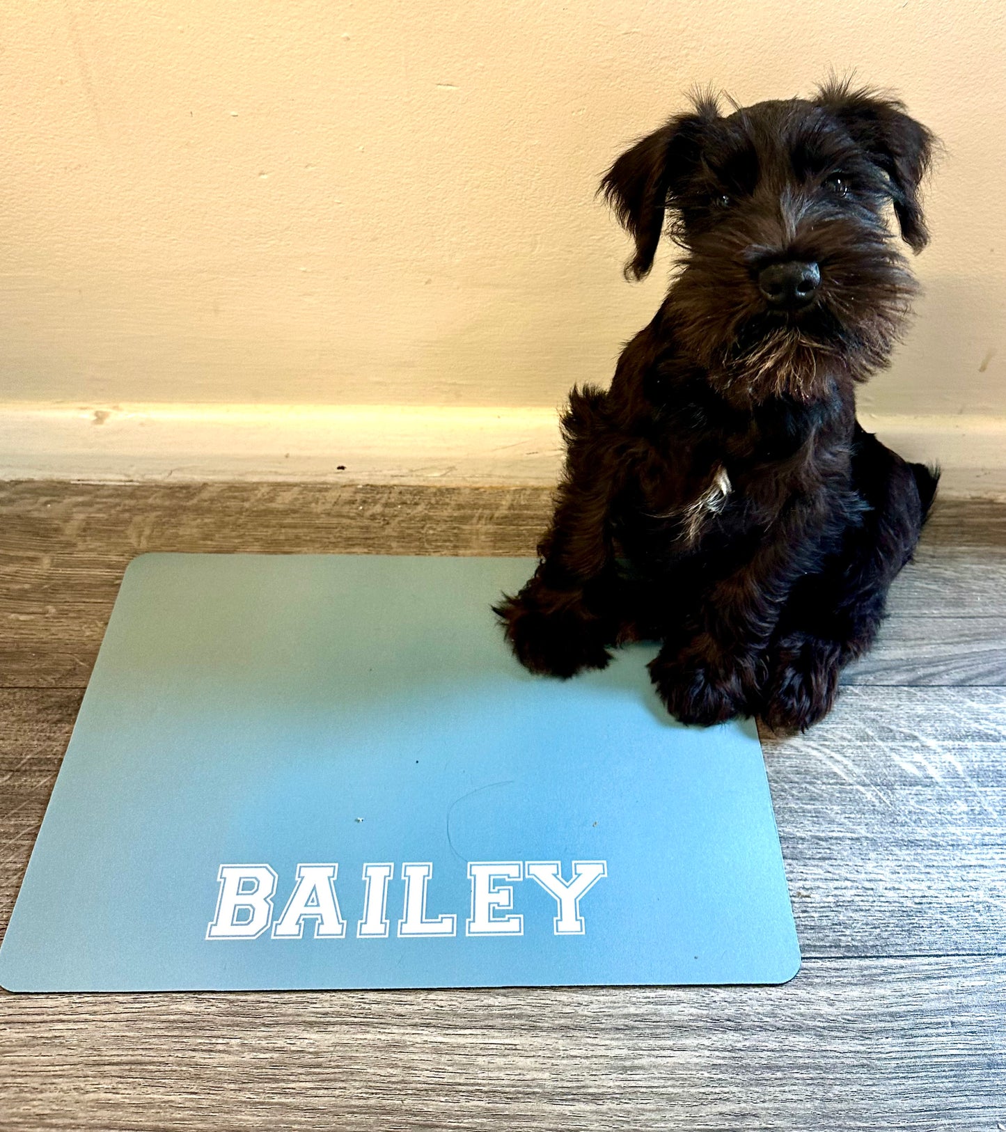 Personalised Pet Bowl Mat Flat Colour Design