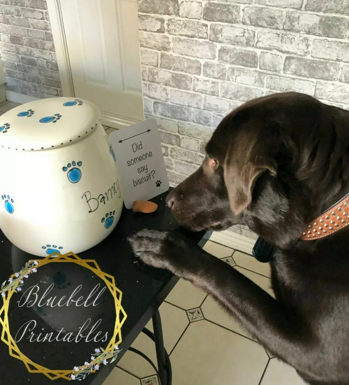 Personalised Treat Jar Whimsical Design