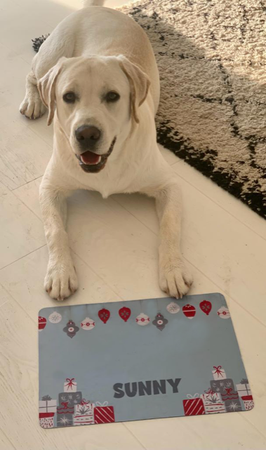 Personalised Pet Bowl Mat Christmas Presents Design