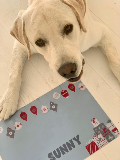 Personalised Pet Bowl Mat Christmas Presents Design