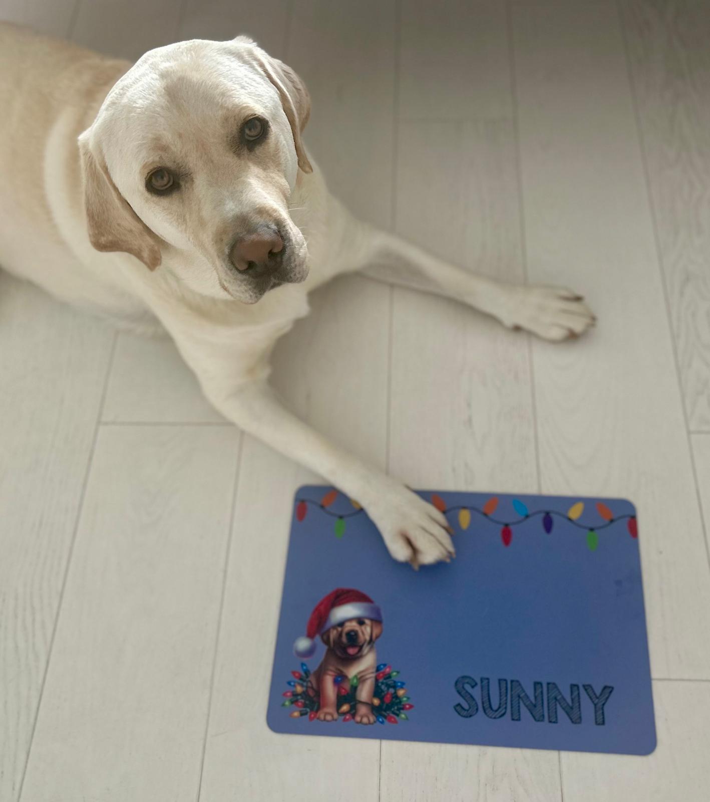 Personalised Christmas Bowl Mat Dog Breed Design