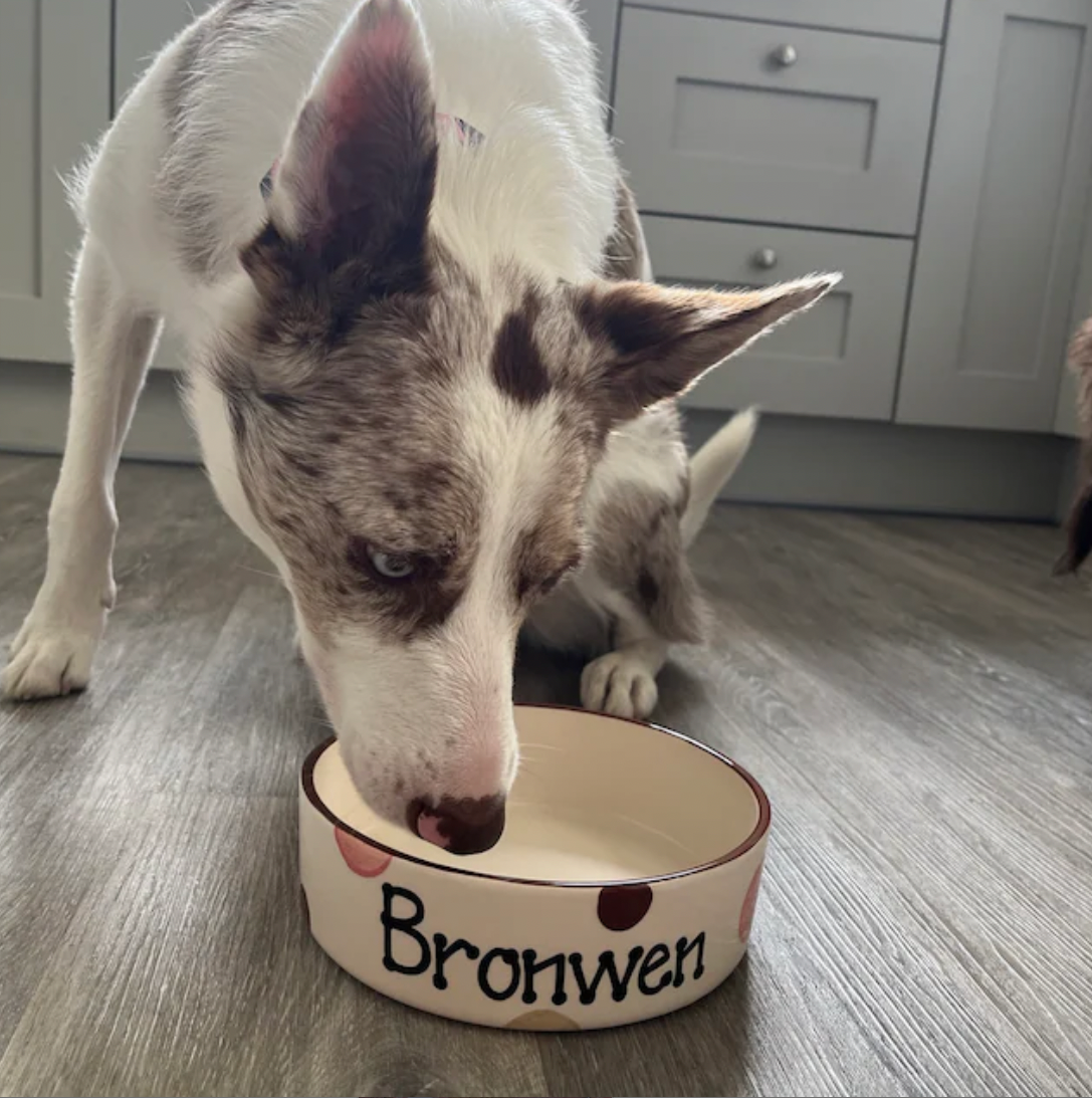 Personalised Straight Sided  Spotty Bowl