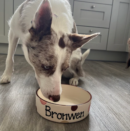 Personalised Straight Sided  Spotty Bowl