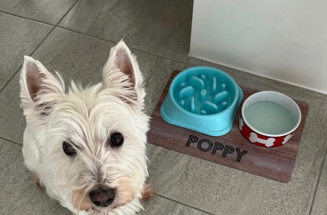 Personalised Pet Bowl Mat Wood Effect Design