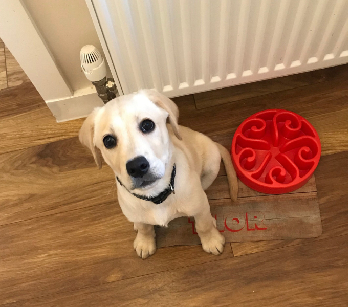 Personalised Pet Bowl Mat Wood Effect Design