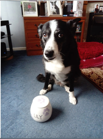Personalised Treat Jar Paw Print Design