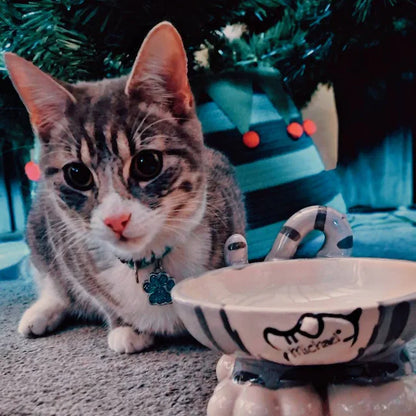 Personalised Cat Leg Bowl Likeness Design