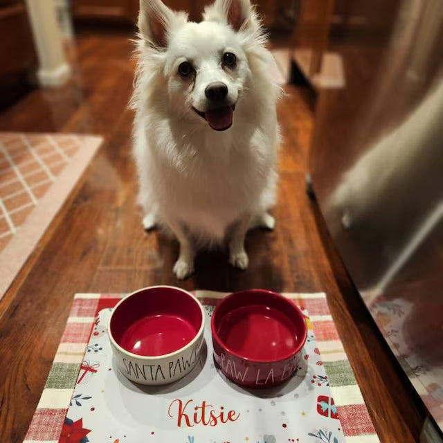 Personalised Pet Bowl Mat Christmas Design