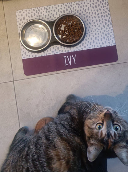 Personalised Pet Bowl Mat Spotty Stripe Design
