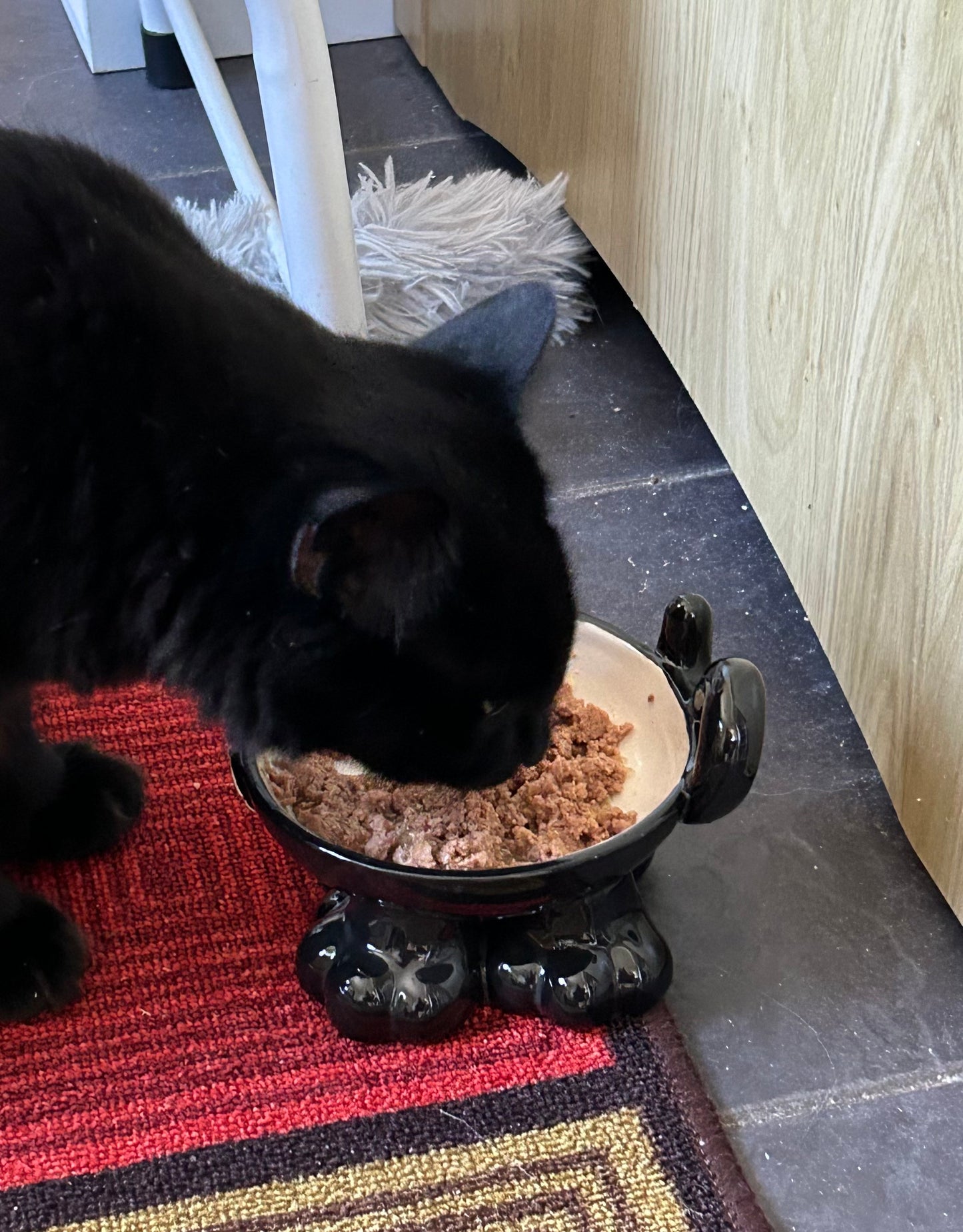 Personalised Cat Leg Bowl Likeness Design