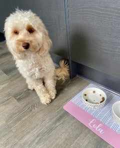 Personalised Pet Bowl Mat Herringbone Stripe Design