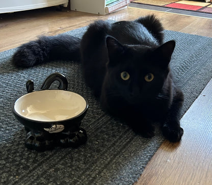 Personalised Cat Leg Bowl Likeness Design