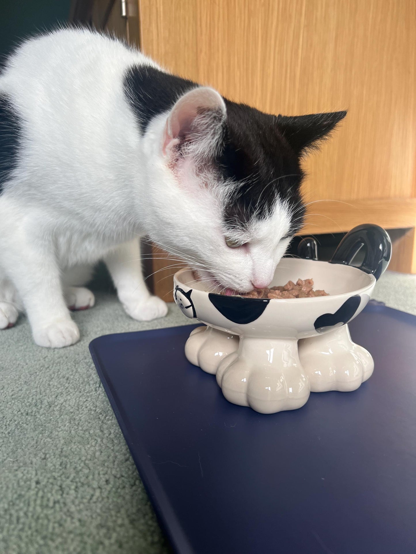 Personalised Cat Leg Bowl Likeness Design