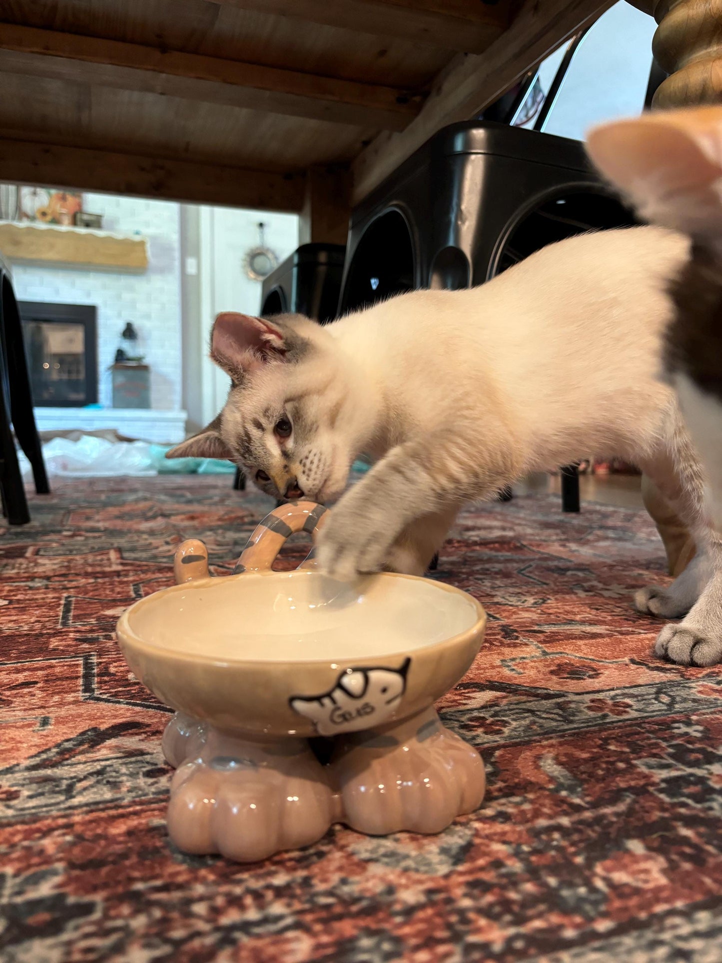 Personalised Cat Leg Bowl Likeness Design