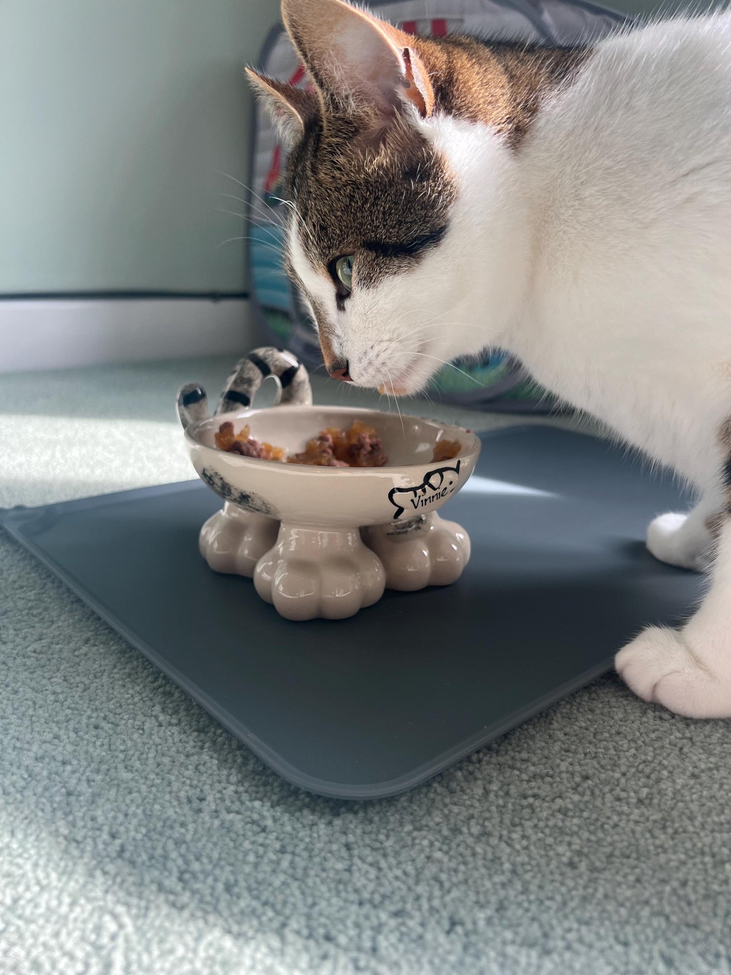 Personalised Cat Leg Bowl Likeness Design