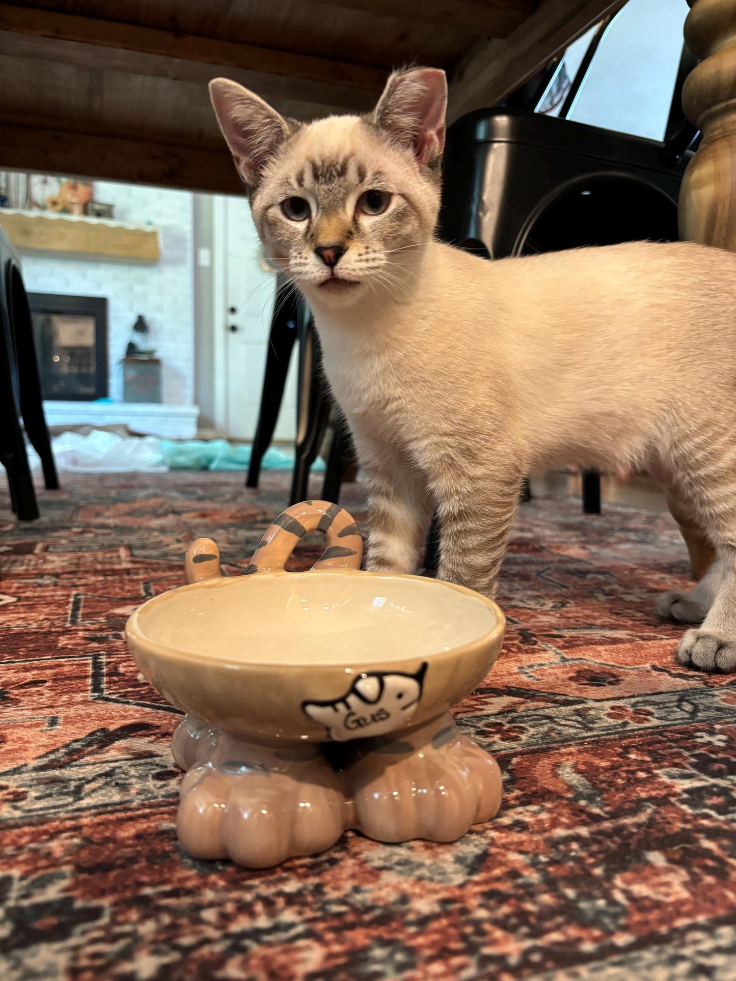 Personalised Cat Leg Bowl Likeness Design