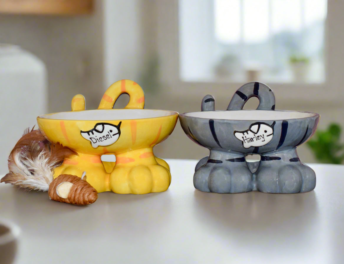 Personalised Cat Leg Bowl Likeness Design