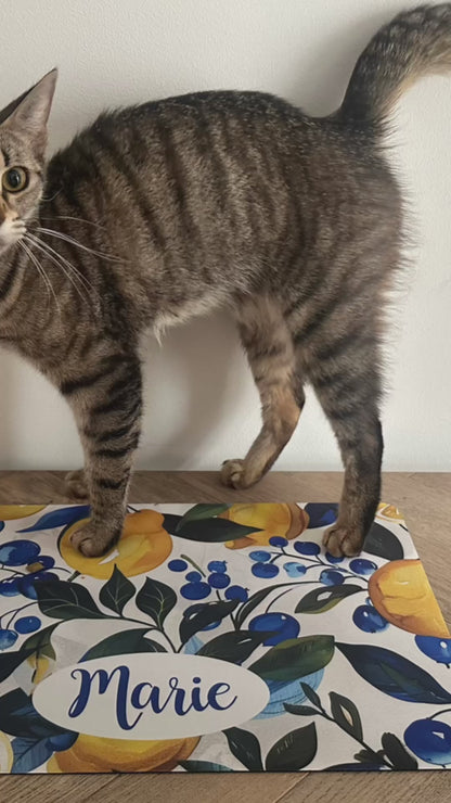 Personalised Pet Bowl Mat Amalfi Coast Inspired