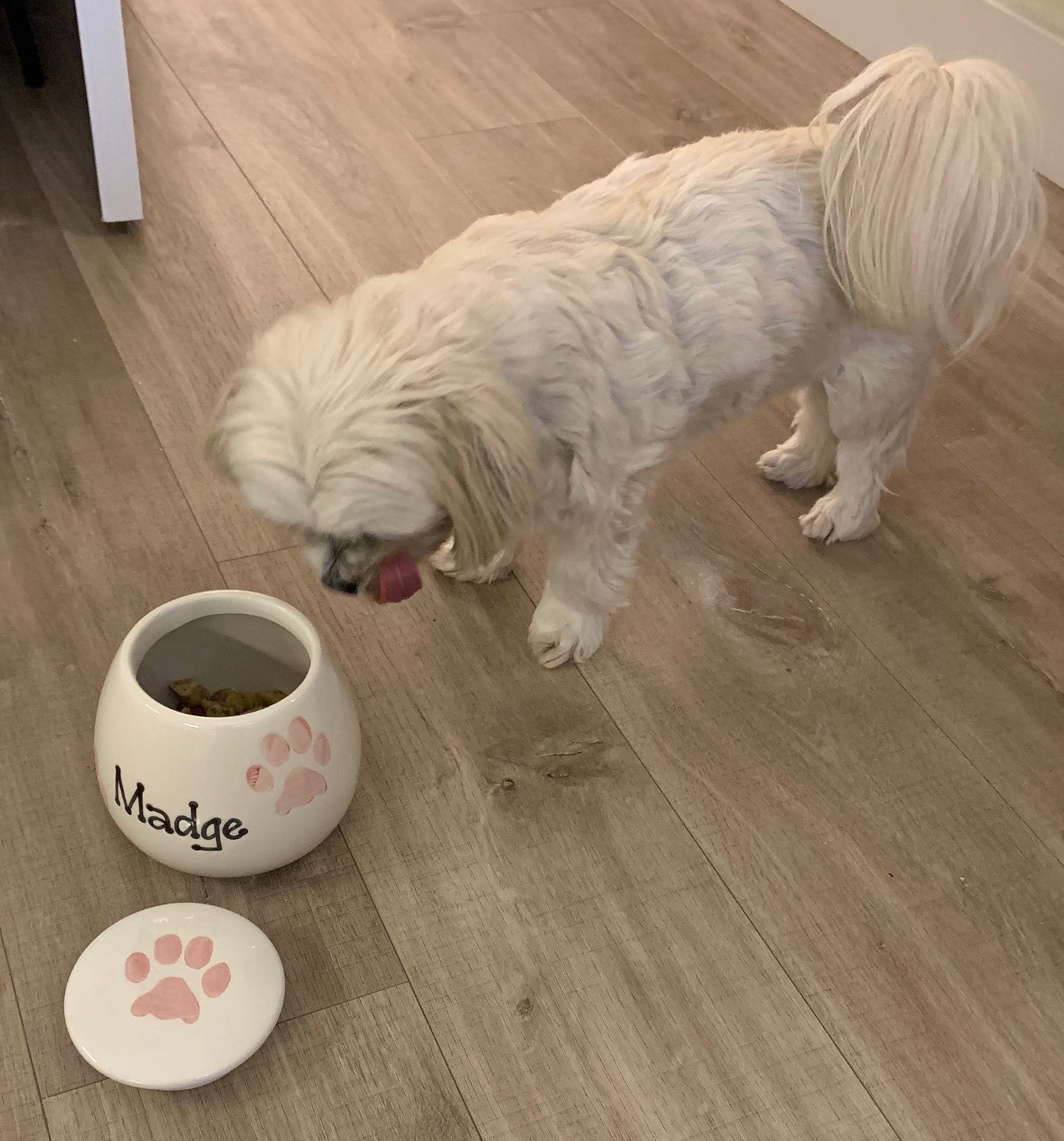 Personalised Treat Jar Paw Print Design