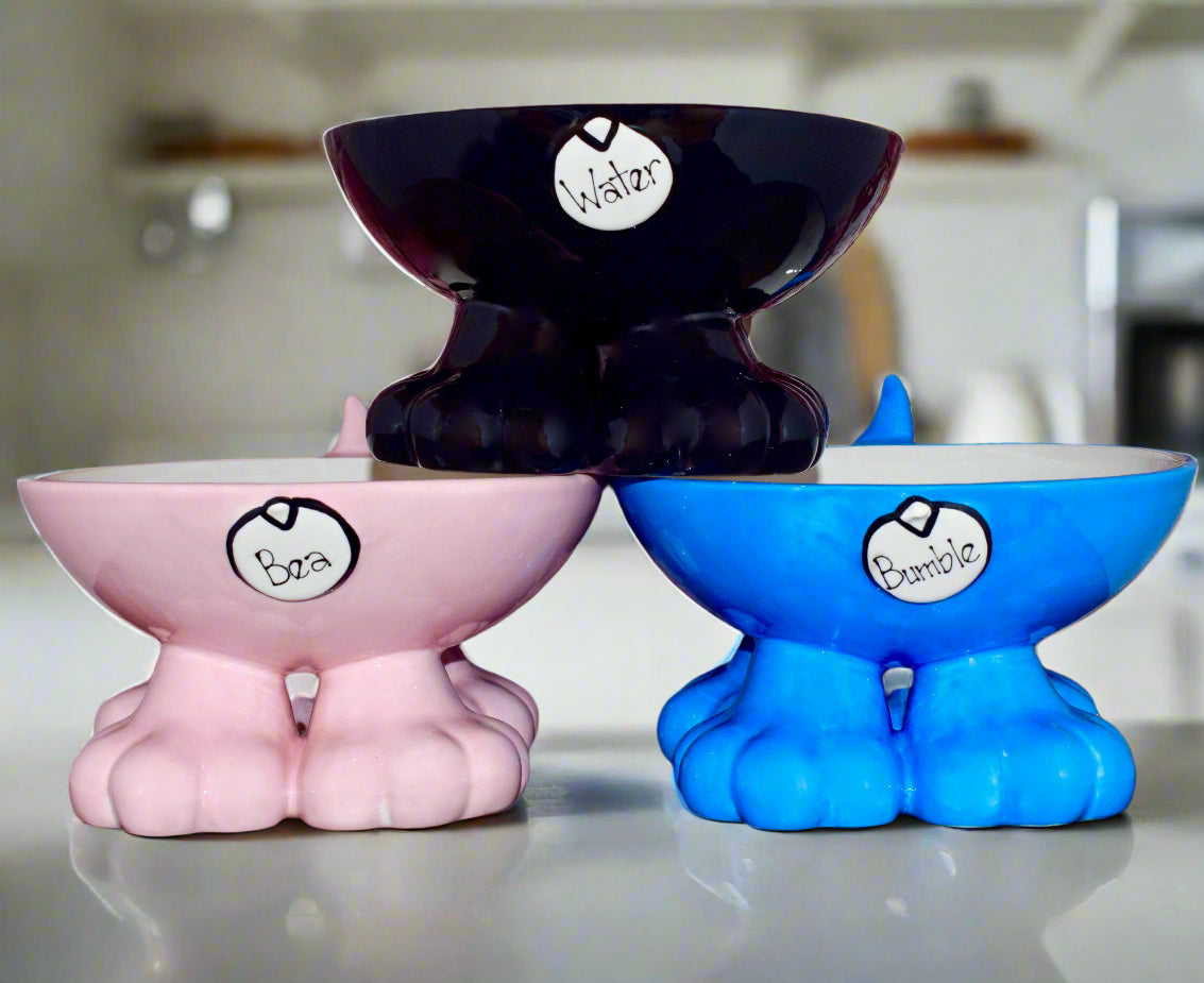 Personalised Dog Leg Bowl Flat Colour Design