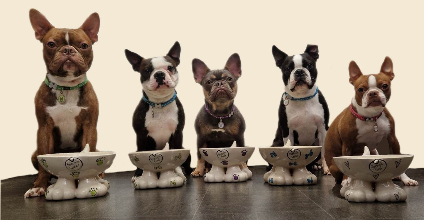 Personalised Dog Leg Bowl Whimsical Design