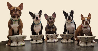Personalised Dog Leg Bowl Whimsical Design