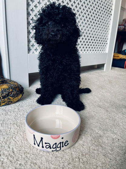 Personalised Straight Sided  Spotty Bowl