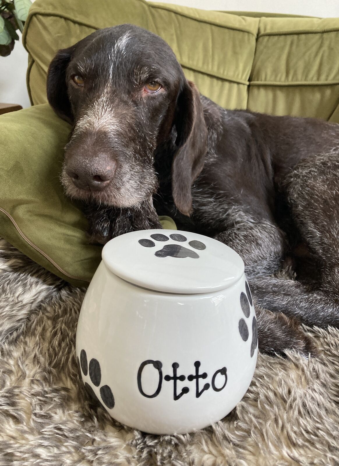 Personalised Treat Jar Paw Print Design